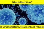 What is Noro Virus?, Noro Virus Symptoms, Treatment and Prevention